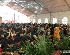 王者归来，再创辉煌，尽显风采！