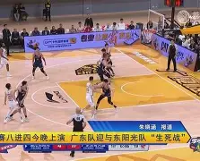 匈牙利凭借制胜球，力挫威尔士晋级名额